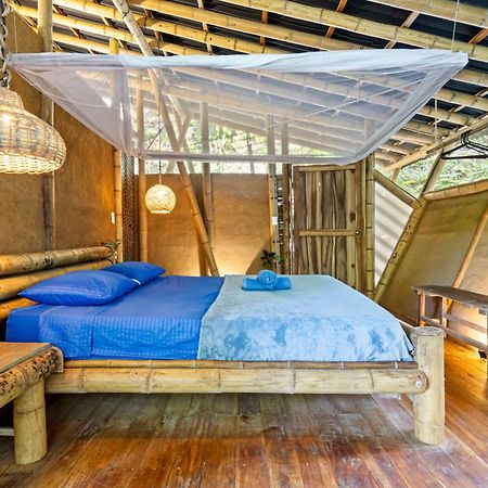 Finca La Selvita Chocolate Experience Buritaca Εξωτερικό φωτογραφία