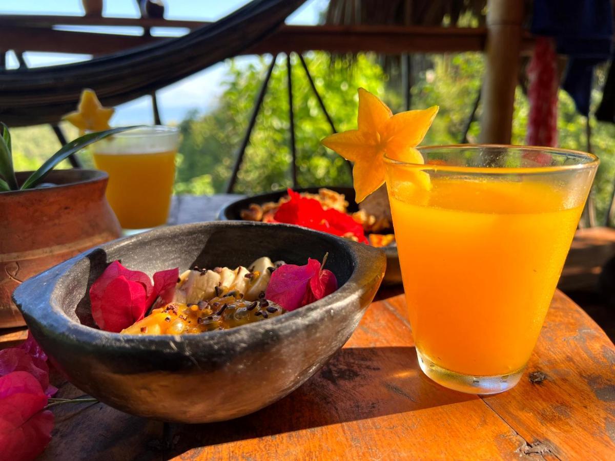 Finca La Selvita Chocolate Experience Buritaca Εξωτερικό φωτογραφία