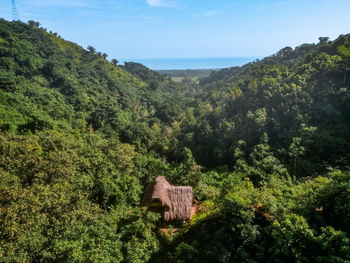 Finca La Selvita Chocolate Experience Buritaca Εξωτερικό φωτογραφία
