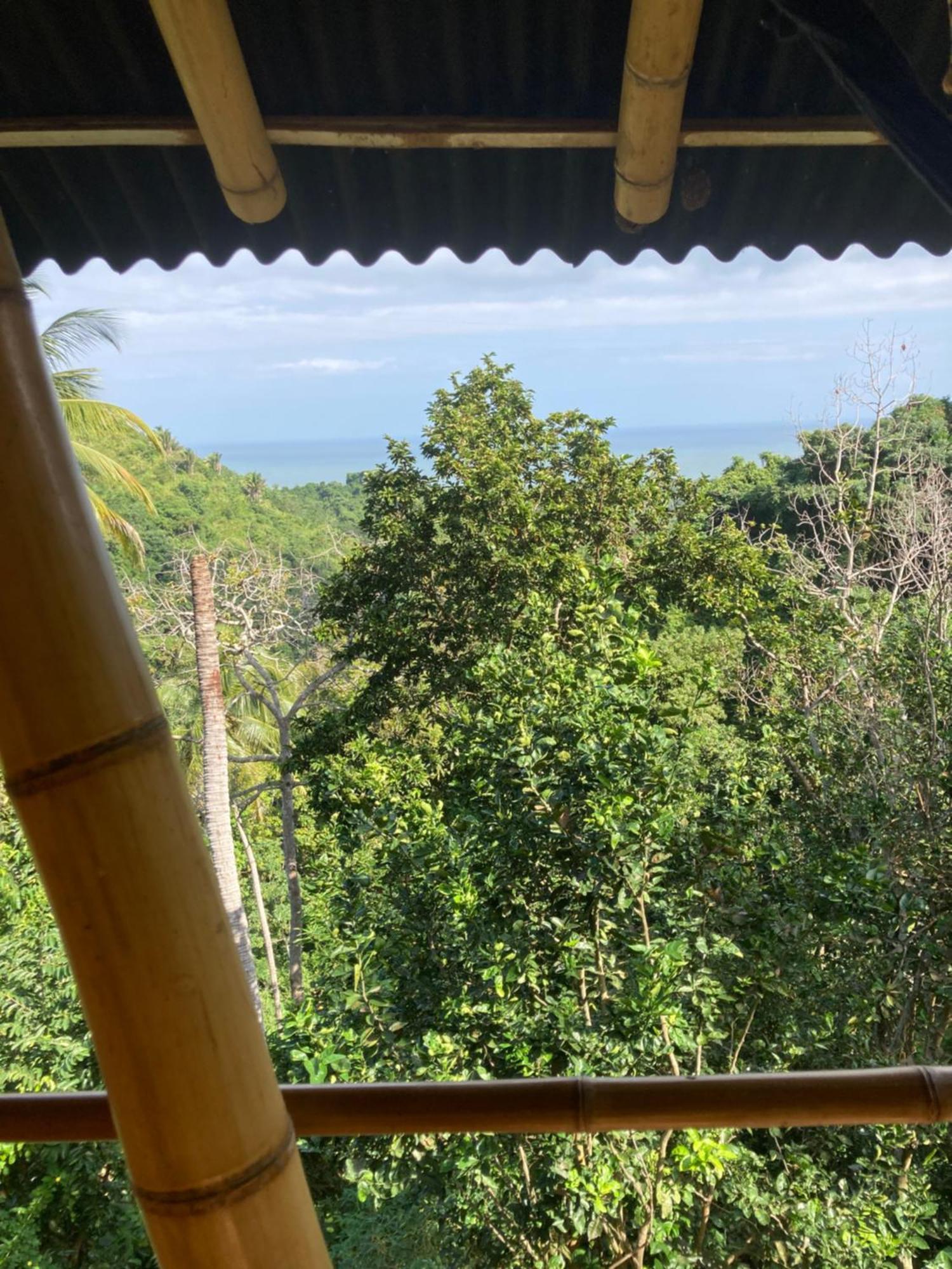 Finca La Selvita Chocolate Experience Buritaca Εξωτερικό φωτογραφία