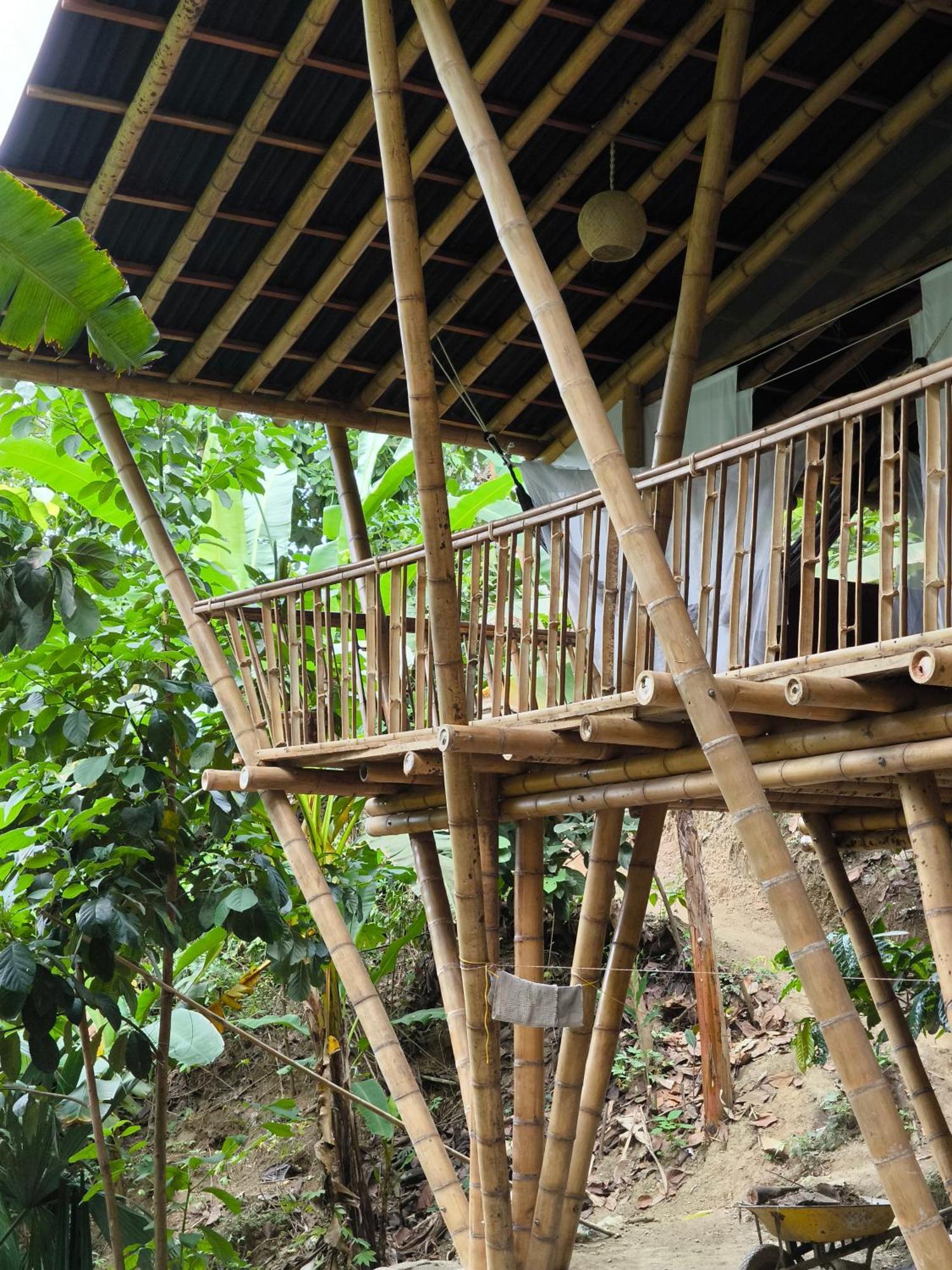 Finca La Selvita Chocolate Experience Buritaca Εξωτερικό φωτογραφία