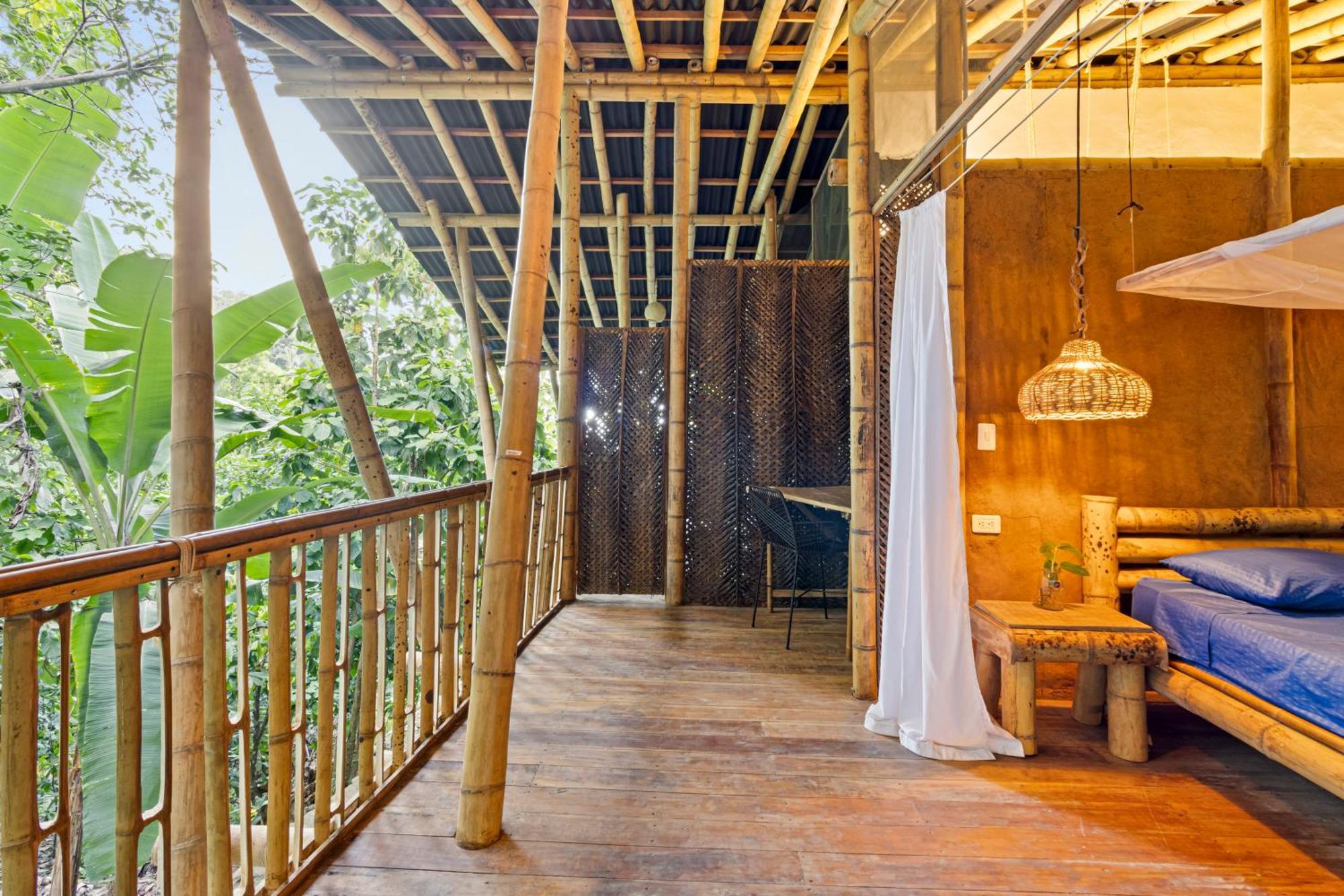 Finca La Selvita Chocolate Experience Buritaca Εξωτερικό φωτογραφία